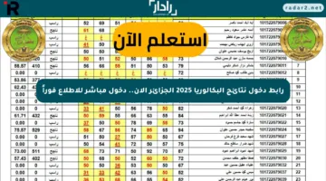 رابط دخول نتائج البكالوريا 2025 الجزائر الآن.. دخول مباشر للاطلاع فوراً